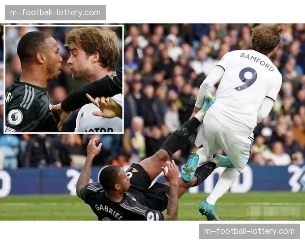 英足总宣布,将对曼城与阿森纳比赛中双方的冲突行为进行调查 英足总宣布,将对曼城与阿森纳比赛中双方的冲突行为进行调查